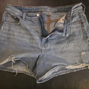 American Eagle Outfitters Light Blue Distressed Jean Shorts